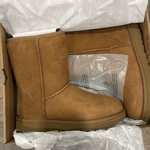 Classic Short Chestnut Uggs size 6